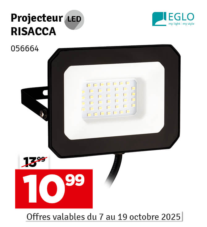 Projecteur extérieur LED Risacca noir 2800 lm 30 W EGLO